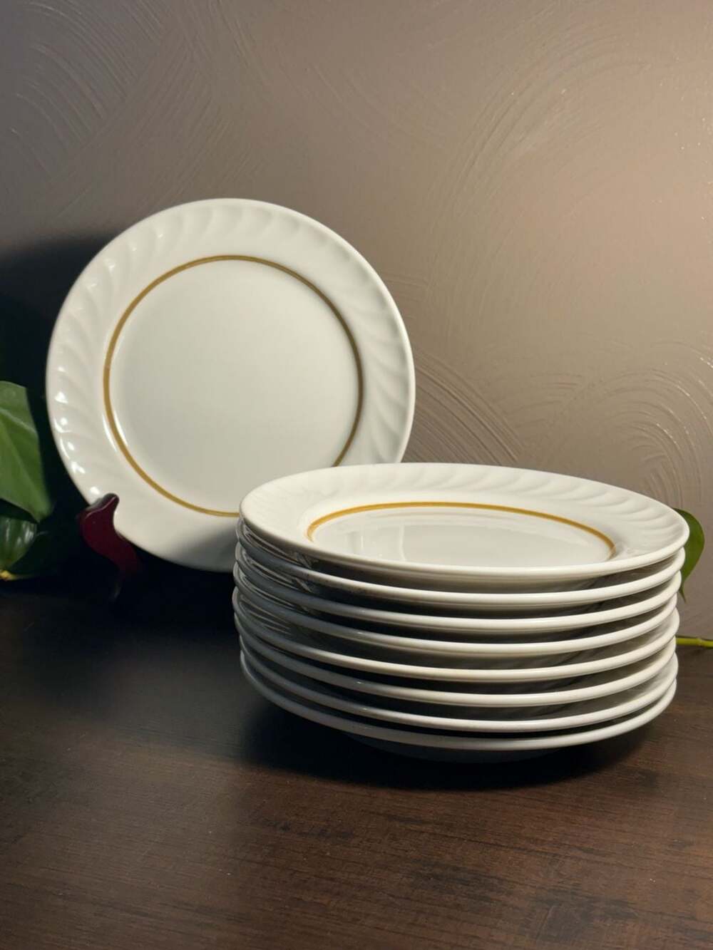 Jackson China Custom China Falls Creek PA Scalloped Edge Salad Plates (9)